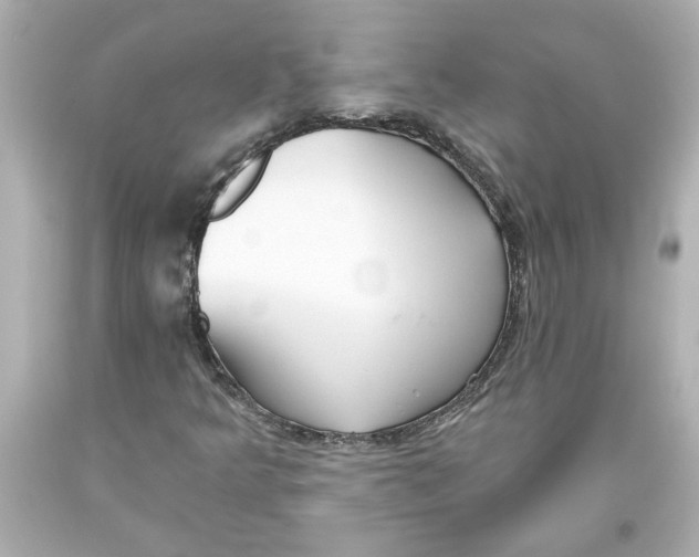 X0000093561349200711051029