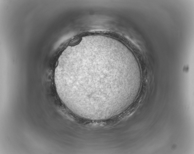 X0000093561351200711051029