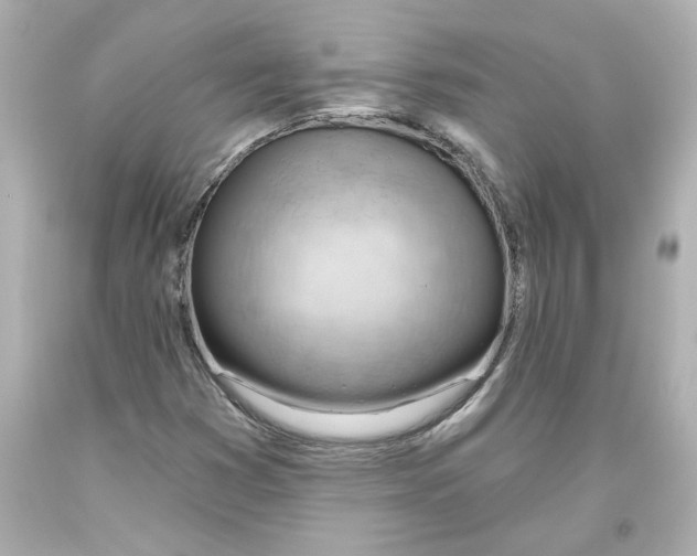 X0000093561353200711051029