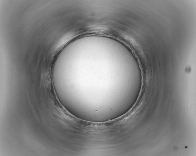 X0000093561354200711051029