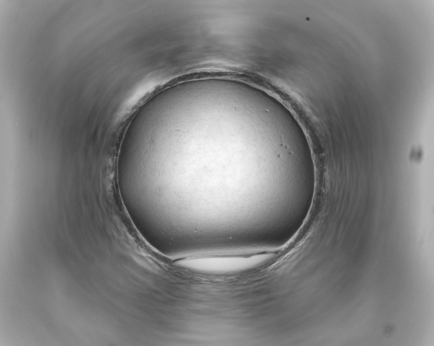 X0000093561355200711051029