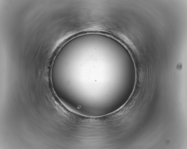 X0000093561356200711051029