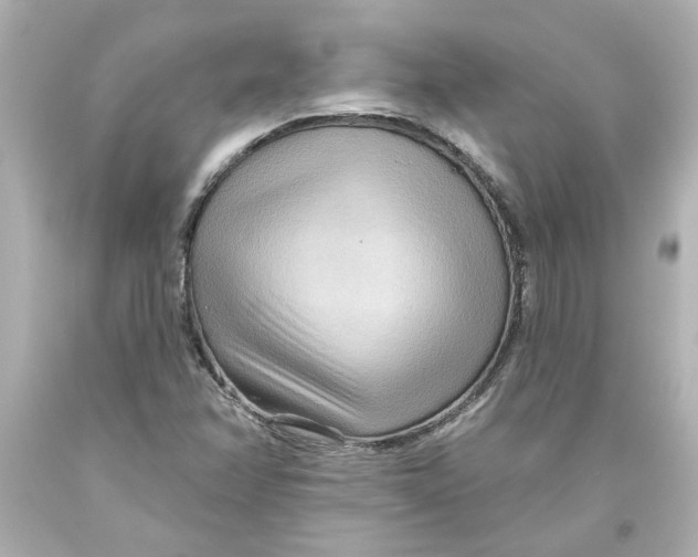 X0000093561358200711051029