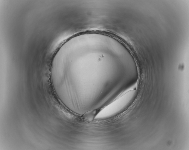 X0000093561359200711051029