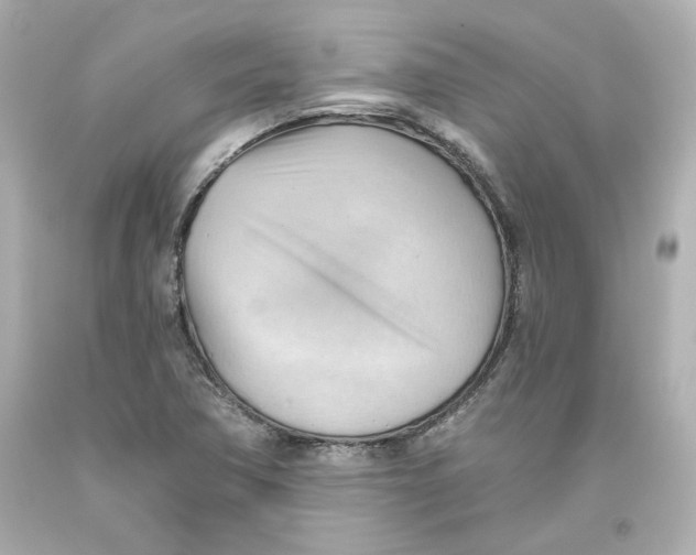 X0000093561362200711051029