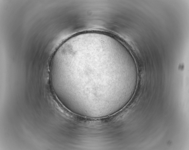 X0000093561363200711051029