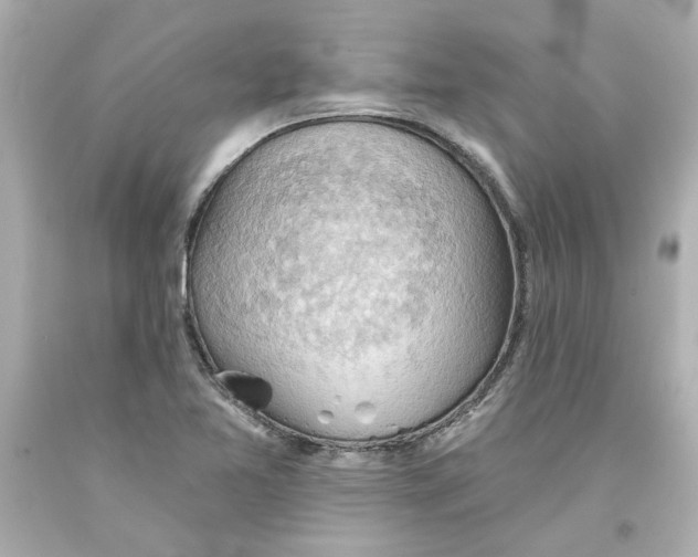 X0000093561365200711051029