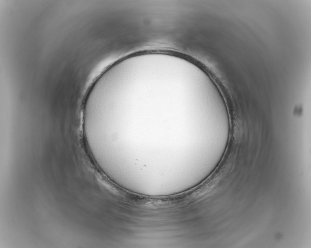 X0000093561366200711051029