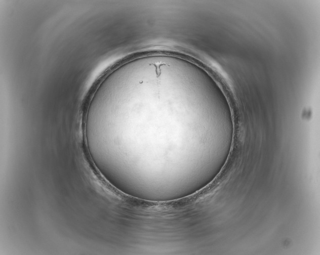 X0000093561368200711051029