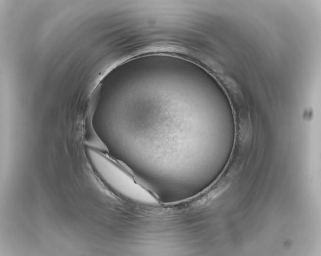 X0000093561369200711051029