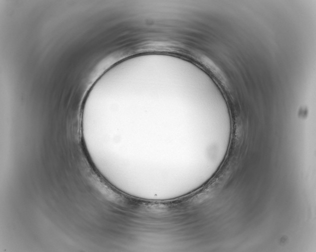 X0000093561370200711051029