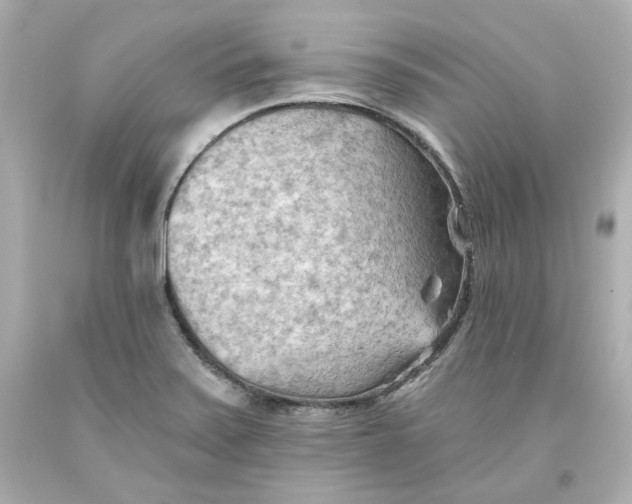 X0000093561371200711051029