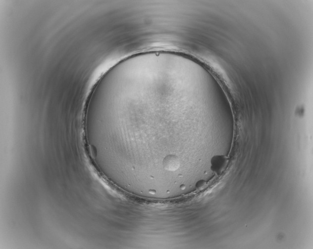 X0000093561373200711051028