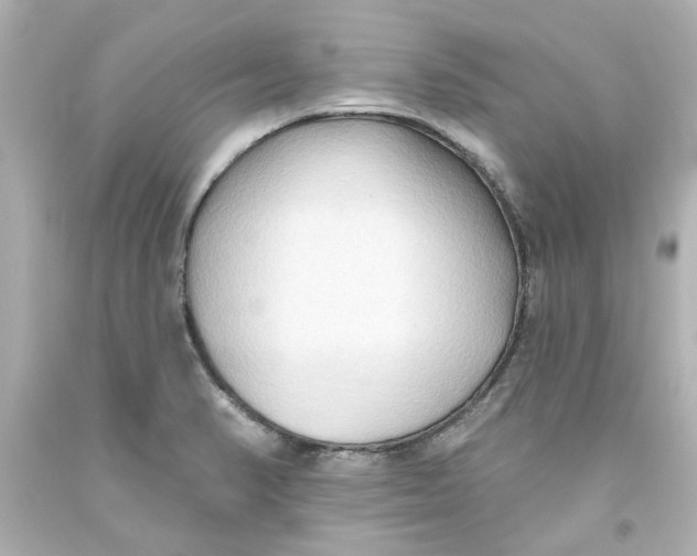 X0000093561374200711051028