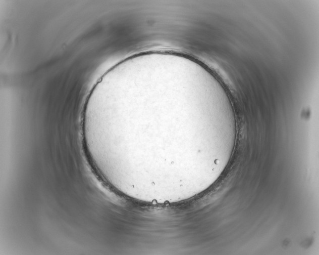 X0000093561375200711051028