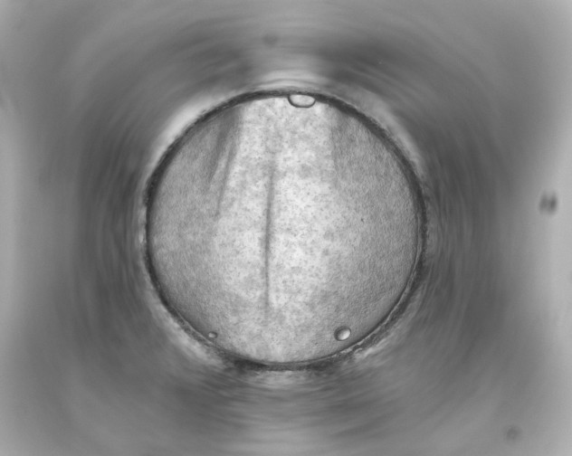 X0000093561376200711051028