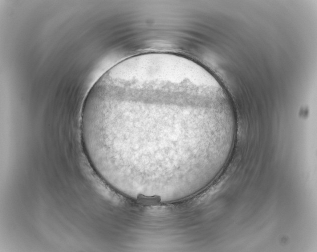 X0000093561378200711051028