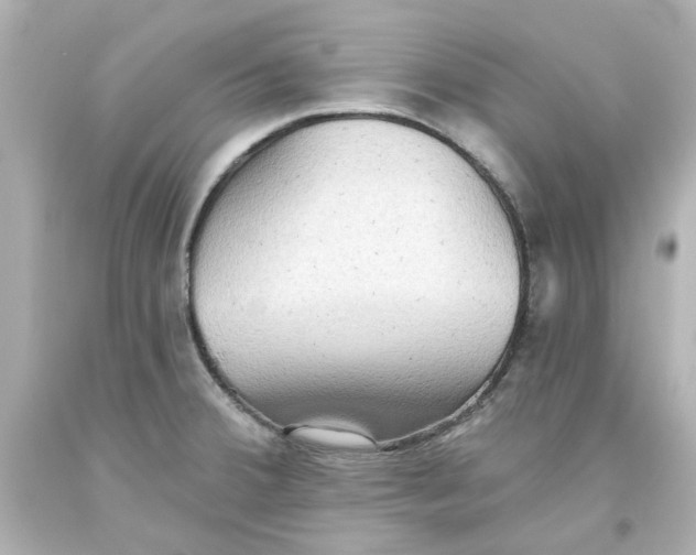 X0000093561380200711051028