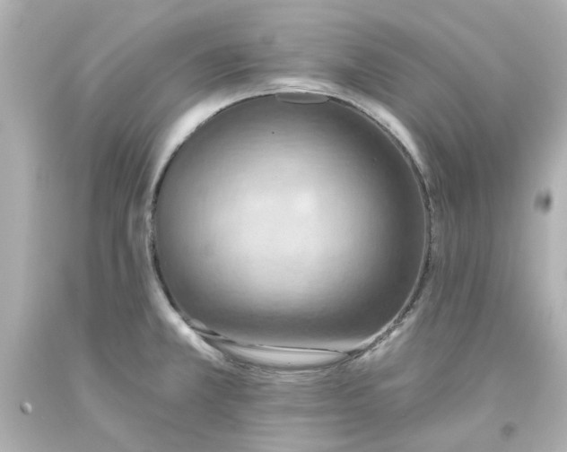 X0000093561381200711051028