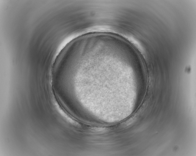 X0000093561382200711051028