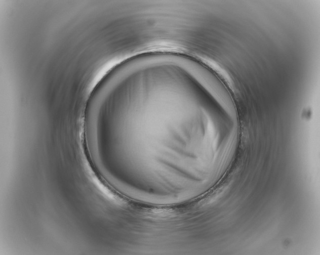 X0000093561383200711051028