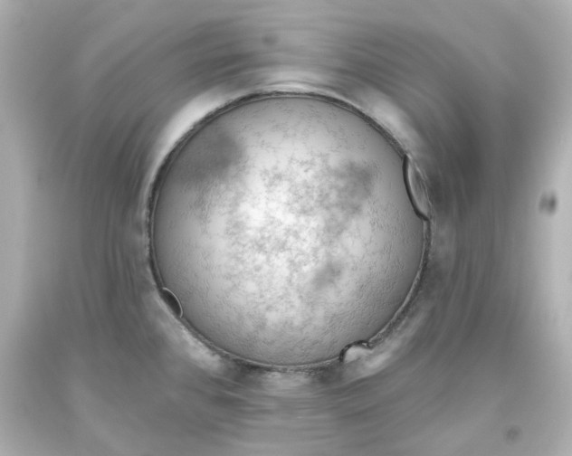 X0000093561384200711051028