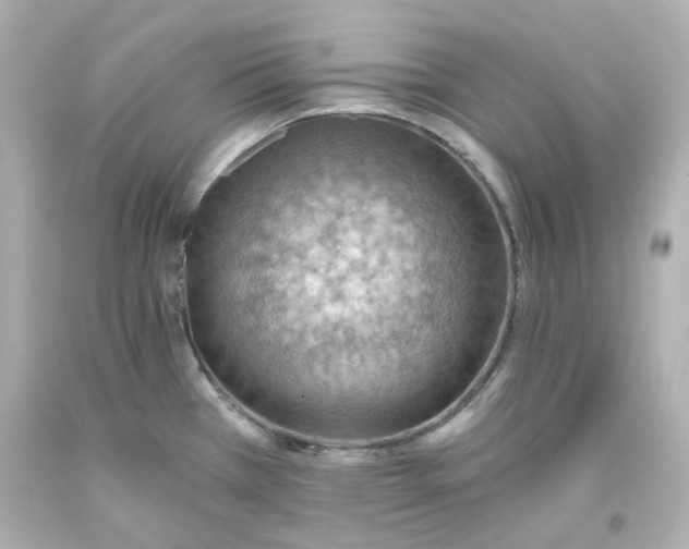 X0000093561385200711051028