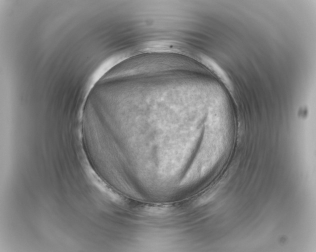 X0000093561386200711051028