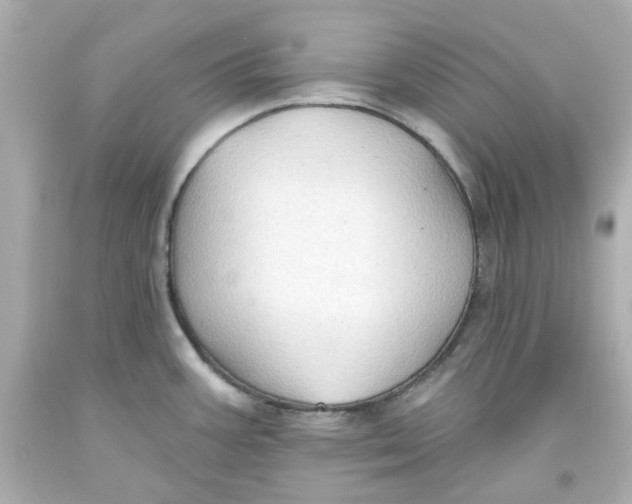 X0000093561387200711051028