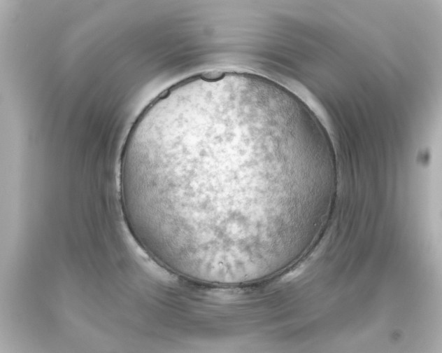 X0000093561388200711051028