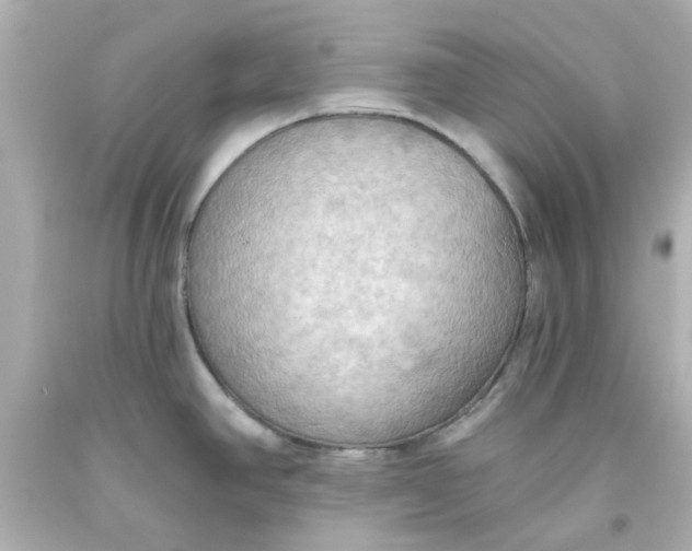 X0000093561390200711051028