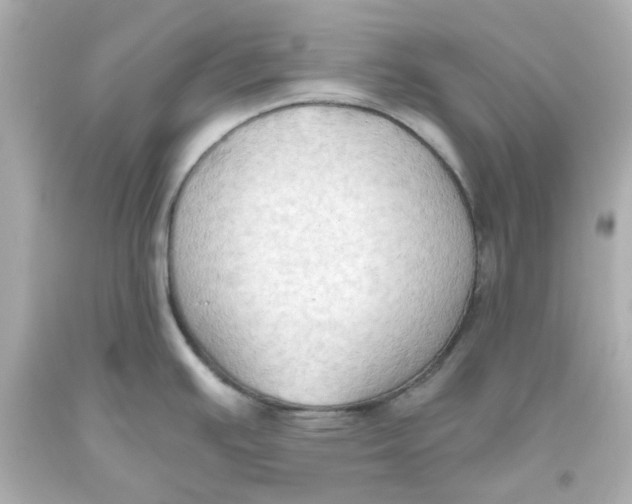 X0000093561391200711051028