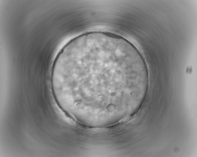 X0000093561392200711051028