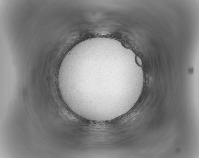 X0000093561393200711051028