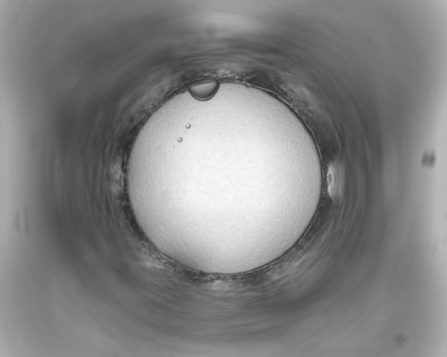 X0000093561395200711051028