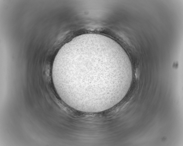 X0000093561396200711051028