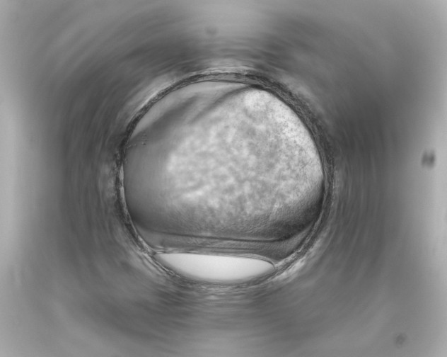 X0000093561401200711051028