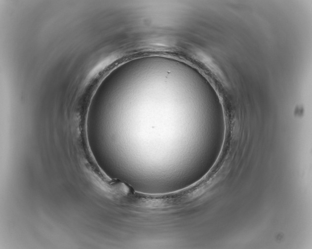 X0000093561402200711051028