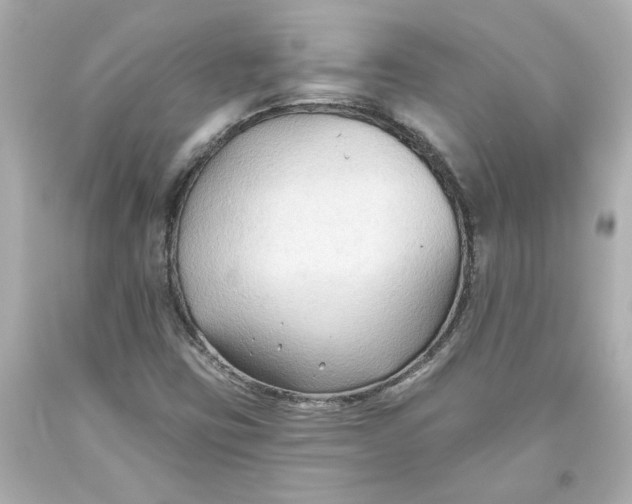 X0000093561403200711051028