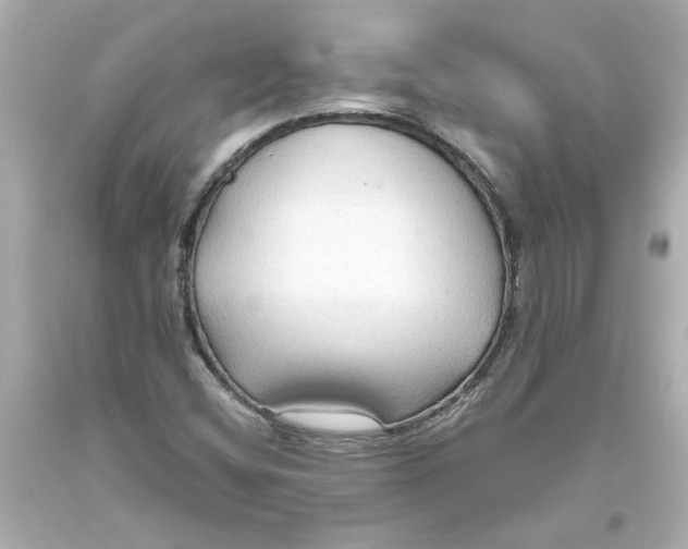 X0000093561404200711051028