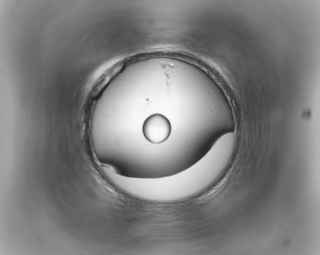 X0000093561406200711051028