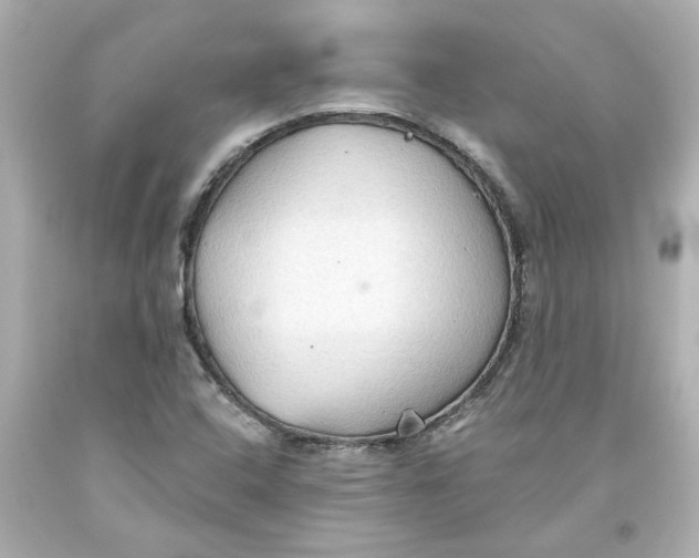 X0000093561408200711051028