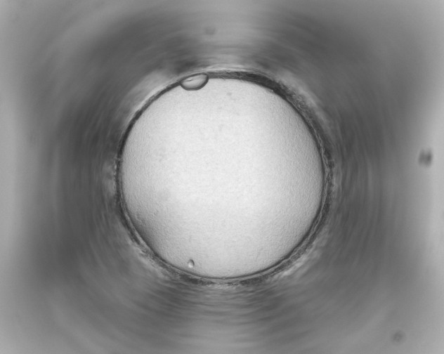 X0000093561409200711051028