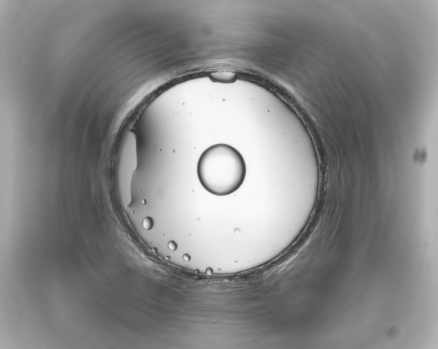 X0000093561410200711051028