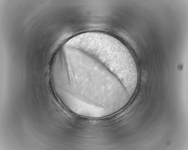 X0000093561411200711051028