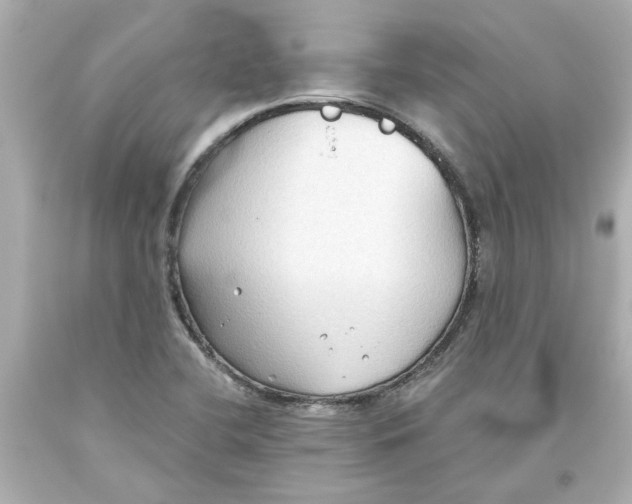 X0000093561412200711051028