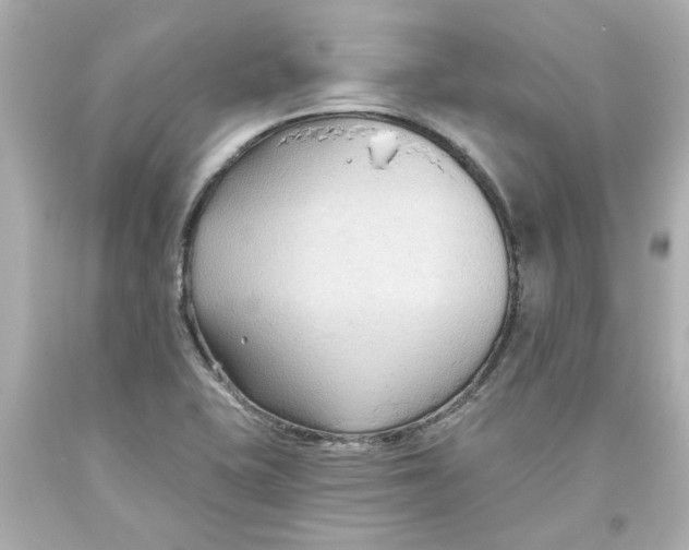 X0000093561415200711051028