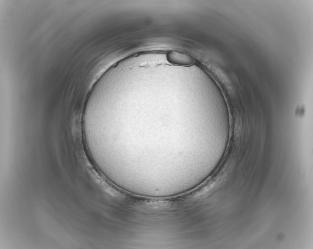 X0000093561417200711051028