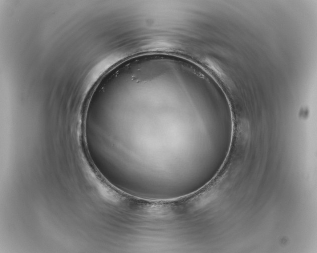 X0000093561418200711051028