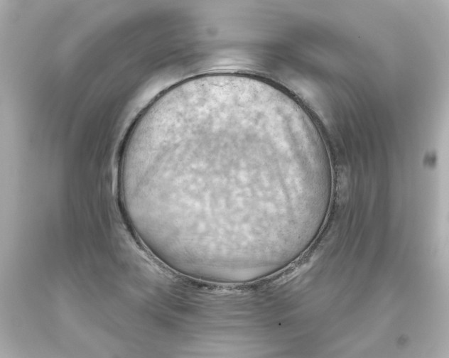 X0000093561419200711051028